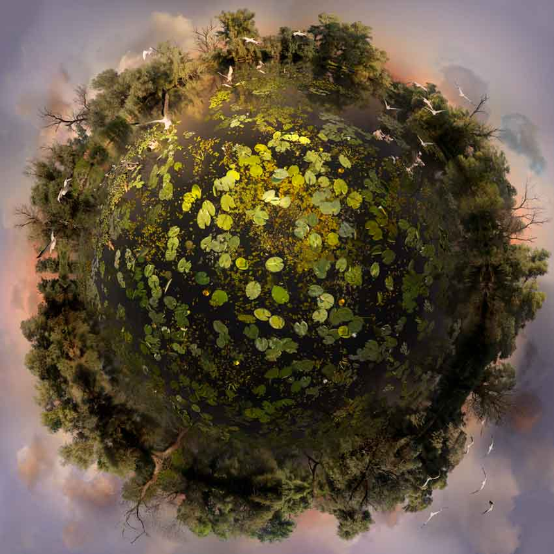 Illustration for article titled These breathtaking composite photographs portray the natural world in ways you've never seen